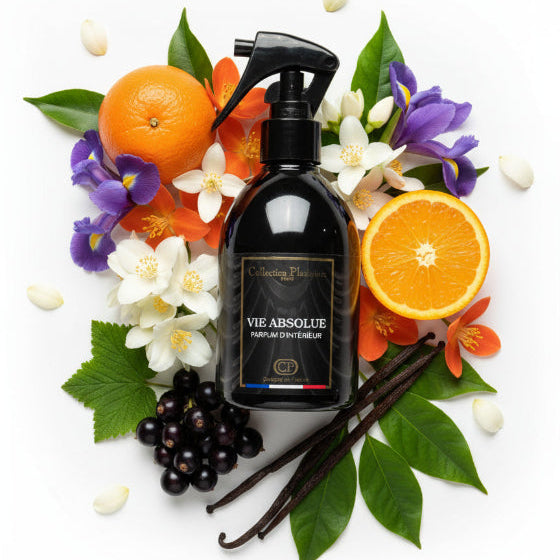 Spray d'intérieur Vie Absolue Collection Platinium 250 ml